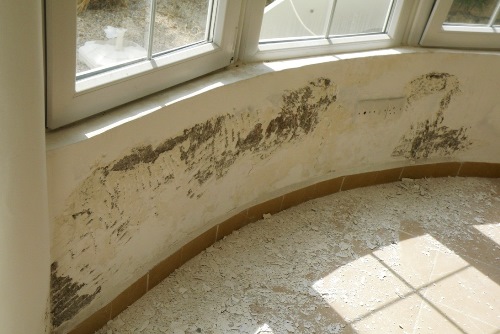 How to identify rising damp in your home