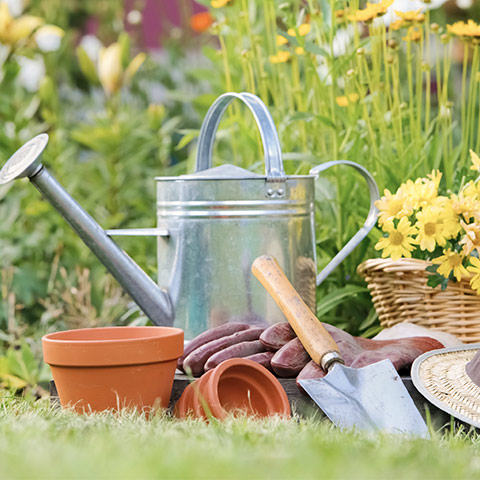 Spring Is Coming: Time to Get the Garden Sorted